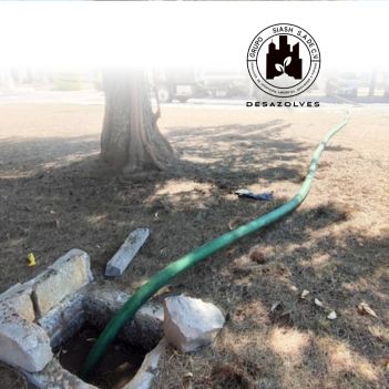 Servicio al Sector Gobierno