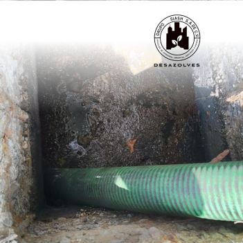 Servicio al Sector Gobierno